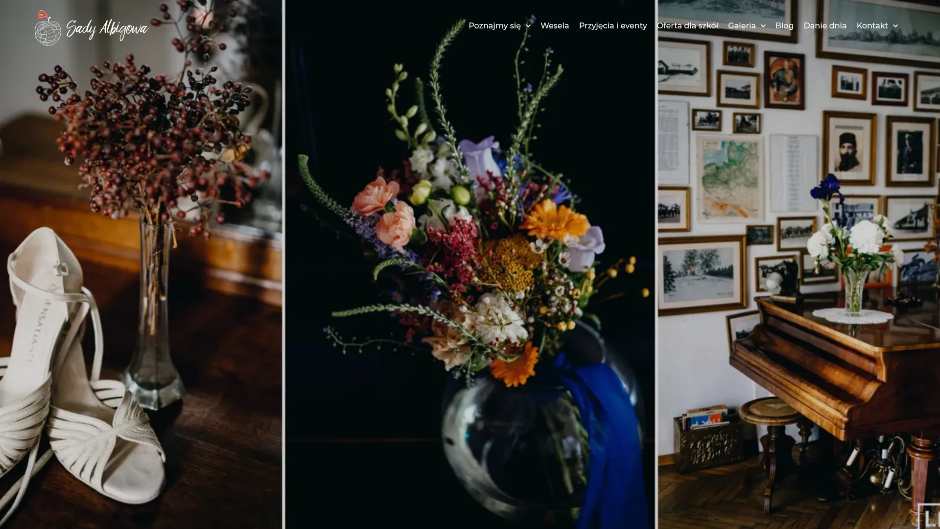 Screenshot of sadyalbigowa.pl