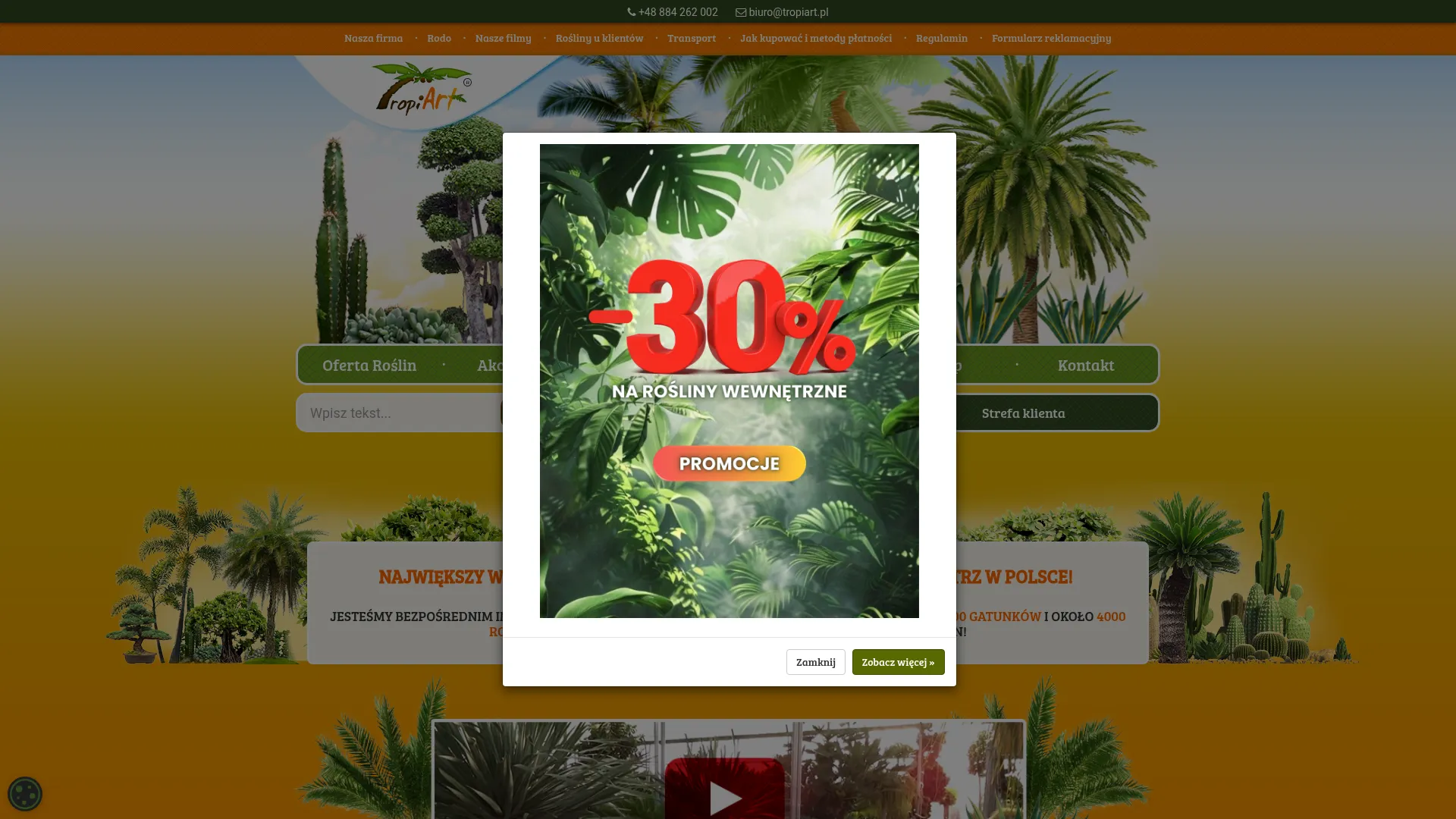 Screenshot of tropiart.pl